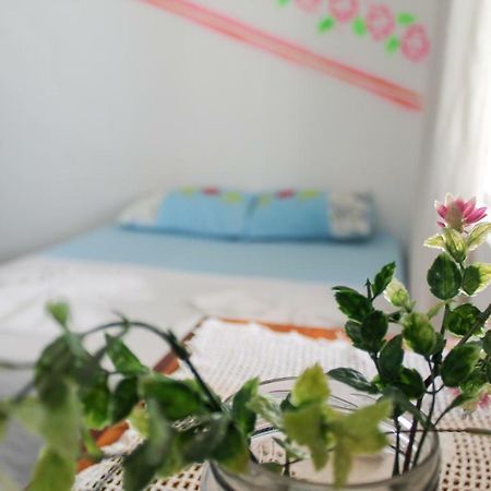 Jeri Bahia Hostel ジジョーカ・デ・ジェリコアコアラ エクステリア 写真